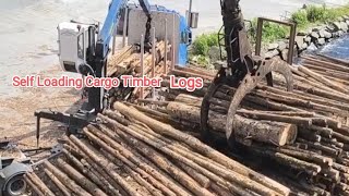 Port of Wismar Germany Self Discharging Cargo Timber Logs [upl. by Emsmus]