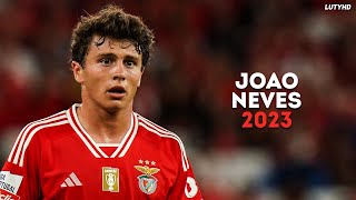 João Neves 2023  Amazing Skills Goals amp Assists  HD [upl. by Lasley]