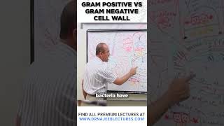 Gram Positive vs Gram Negative Cell Wall drnajeeb drnajeeblectures bacterialcellwall [upl. by Ahsert]