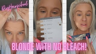 How To Get Platinum Blonde Hair WITH NO BLEACH [upl. by Salta]