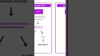 SCHILLING TEST  PATHOLOGY RAPID REVISION [upl. by Imogene]