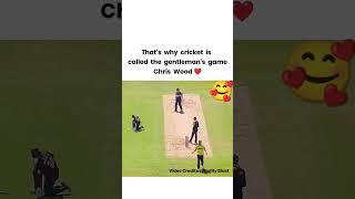 This is the reason why this game is called a gentlemans game❤️ gamenight gamefound cricket yt [upl. by Tammy]