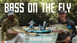 Fly Fishing for Bass  Epic Streamer Fishing  5 Bass Species in 3 Days [upl. by Irtimed]