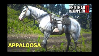 THE HORSES OF RED DEAD REDEMPTION 🐎 APPALOOSA [upl. by Inavoig]