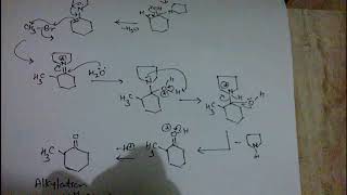 Alkylation of enamine part 2 [upl. by Anirret]