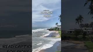 Coconut cove resorts Varkala  Kerala  Best stay in Varkala [upl. by Nylave740]