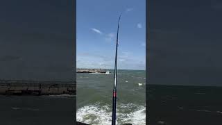 Packery Channel fishing North Padre [upl. by Reiss]