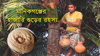 মানিকগঞ্জের ঐতিহ্যবাহী হাজারির গুড়  Manikganj Famous Hajari Gur  MLTN [upl. by Savill267]