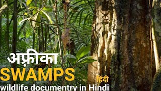 The Eternal swamps  हिंदी डॉक्यूमेंट्री  Africa wildlife documentry in Hindi [upl. by Letniuq]