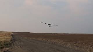 Atos VQ Race landing 72724 hanggliding [upl. by Lativa]