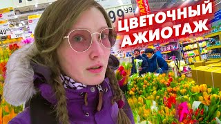 VLOG ПРЕДПРАЗДНИЧНЫЙ АЖИОТАЖ МНЕ СКАЗАЛИ ЧТО Я ЖИВУ В КЛОПОВНИКЕ [upl. by Leahcimsemaj]