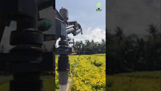 Modern automatic sprinkler irrigation system the real Agritech farmtools gardening shorts [upl. by Gnouc]