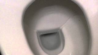 HCG washdown toilet with HCG bidet [upl. by Licna150]