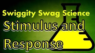 what is stimulus response screencast lecture [upl. by Clie]