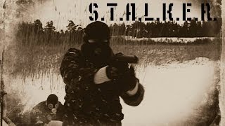 Под Тяжёлым Небом  по мотивам игры STALKER [upl. by Atikkin669]