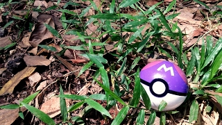 Real Life MasterBall  Pokemon  PokeBall  Gym Badge [upl. by Kizzee]