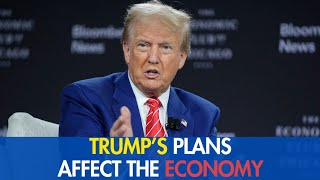 How Will Trump’s Plans Affect the Economy trumpnews [upl. by Aibos]