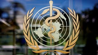 WHO’s ‘controversial’ pandemic treaty could ‘threaten our basic freedoms’ Rita Panahi [upl. by Ynahirb]