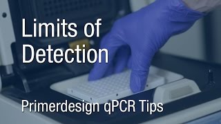 Primerdesign qPCR Tips  Limits of Detection [upl. by Bronny]