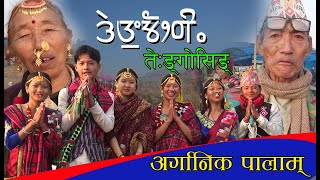 Limbu Yakthung Mundhum PALAM History Culture Theyusa Phago [upl. by Zipah]