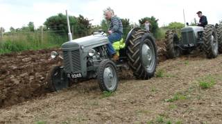 Ferguson Tractor Working Day [upl. by Ron]