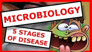 Microbiology The 5 Stages of Disease [upl. by Micah]