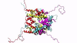 The 1 microsecond histone octamer dynamics without DNA [upl. by Fuchs799]