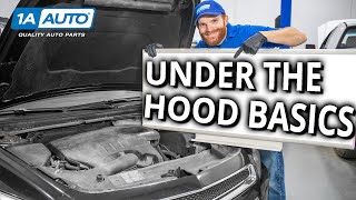 Under the Hood Basics Learn About the Stuff Under Your Cars Hood [upl. by Ecydnak]