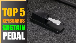 Best Sustain Pedal for Keyboards amp Digital Pianos Your Complete Guide 2024 [upl. by Vasili176]