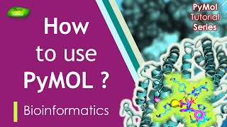 How to use PyMOL  PyMOL Commands  PyMol Series  Part2  Basic Science Series [upl. by Acim]