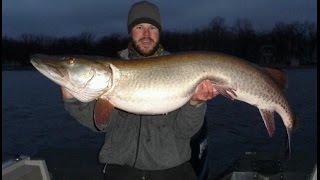 Musky  Muskie 2012 Highlights Kramer Bros Tackle Windowmaker [upl. by Jadd]