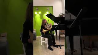 Brahms Symphony No 3 French Horn Excerpt [upl. by Teresina]