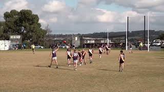 Geelong FNL Round 4  Grovedale vs St Marys [upl. by Suivatnad407]