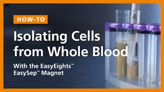 How to Isolate Cells Directly from Whole Blood  EasySep™ Direct Protocol EasyEights Magnet [upl. by Nazario190]