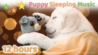 ☆ 12 HOURS ☆ Puppy Sleeping Music 🐶 ♫ Dog Relaxation Music ♫ Dog Sleep Music ♫ Puppy Music ♫ [upl. by Onitnerolf466]