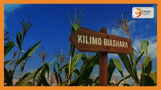 Kilimo Biashara  Serikali kuzindua mbegu za mahindi zilizoboreshwa [upl. by Otilesoj]