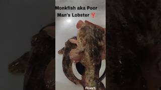 Cooking Monk fish aka Poor mans Lobster 🦞 [upl. by Aidin533]