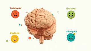 Los Químicos de Felicidad dopamina serotonina ocitocina y endorphina [upl. by Eikcaj]