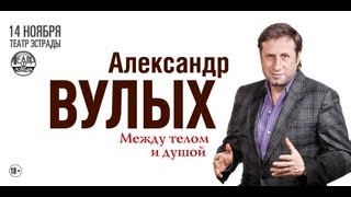 Александр Вулых  Театр Эстрады  14 ноября 2013 г [upl. by Shanley352]