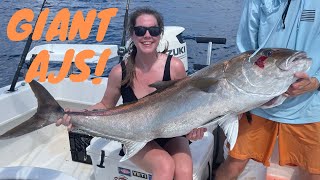 Fishing for Big Amberjack off the Texas Coast [upl. by Atinid251]