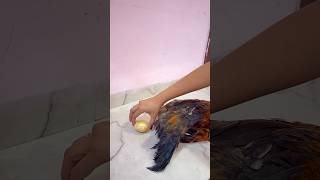 Sone ka anda 🥚😯🫣zoya sheikh viral trending shorts youtube zoyasheikh [upl. by Pierson]