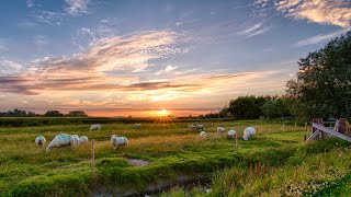 The Passionate Shepherd to His Love by Christopher Marlowe read by Ben W Smith [upl. by Harlamert]