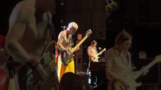 Red Hot Chili Peppers  Soul to Squeeze redhotchilipeppers [upl. by Leitman]