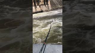 Dam fishing in the fast water catfishing fishing bigcatfish [upl. by Rovaert369]