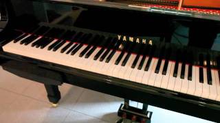 Disklavier plays Redline Tango [upl. by Laith]