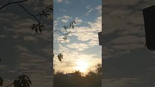 evening view  shorts  nirmal videos [upl. by Ojillek]