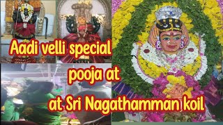 Aadi velli special pooja at Sri Nagathamman temple aadi velli special by KGR SATHYA CREATIONS [upl. by Lassiter]