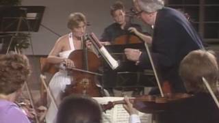 Mozart Divertimento DDur K334 Sandor Vegh Salzburg 1988 [upl. by Girish]