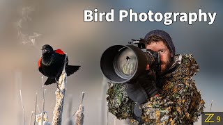 BIRD PHOTOGRAPHY  SHARP photos  PRO tips using the BEST camera settings for wildlife  Nikon Z9 [upl. by Range]