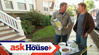 How to Patch a Lawn With Grass Seed  Ask This Old House [upl. by Ahseinat]